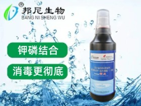 精点