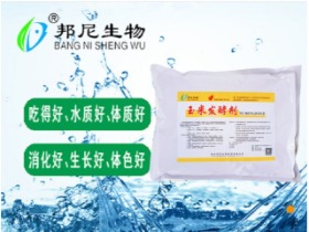 玉米发酵剂