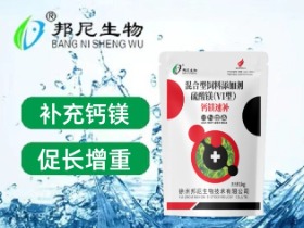 钙镁速补