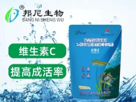 应激灵