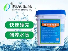 速补外壳宝