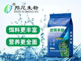 滤饵丰肽